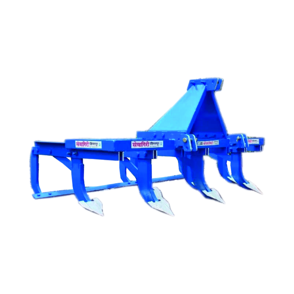 Sugarcane Intercultural